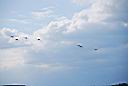 DSC_2435.JPG