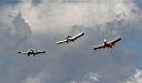 IMG_7994.jpg
